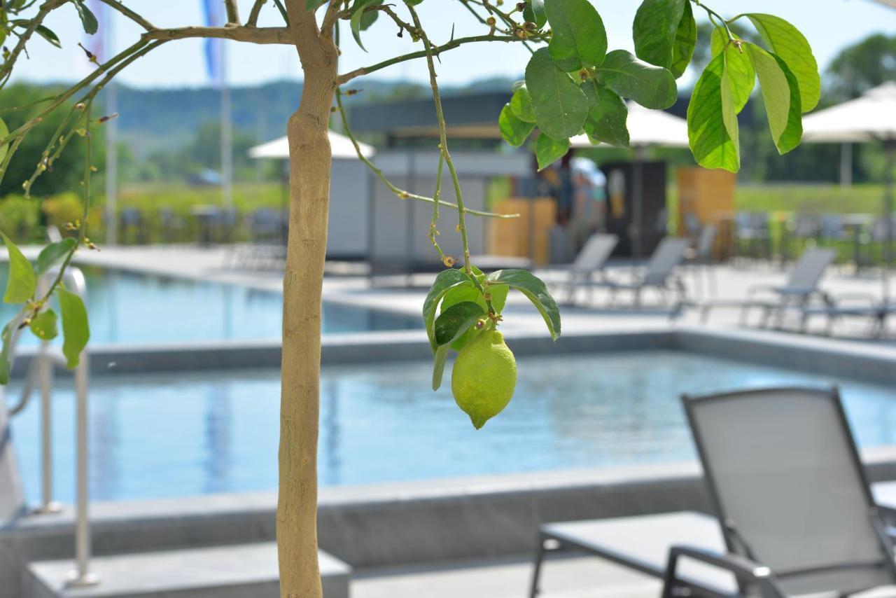 Mk Hotel Tirana Rinas المظهر الخارجي الصورة The swimming pool